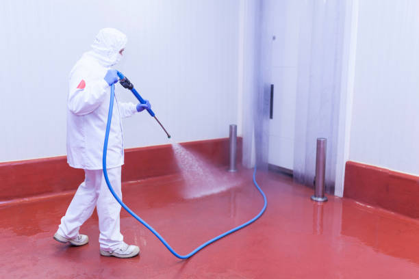 Best Residential Pressure Washing in Beaver, PA